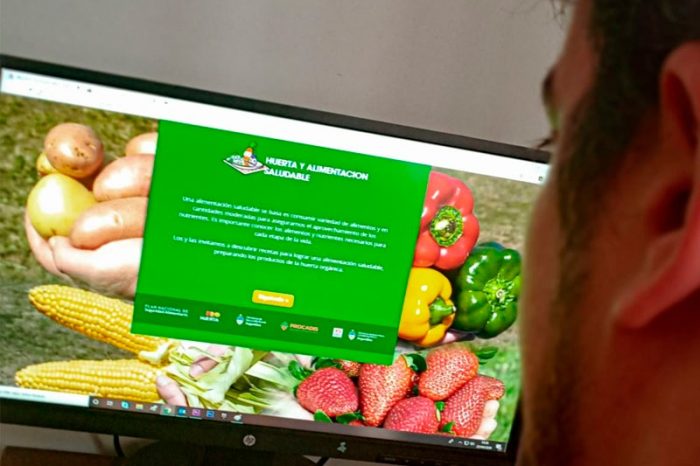 Cursos online y recursos digitales, ideales para hacer desde casa