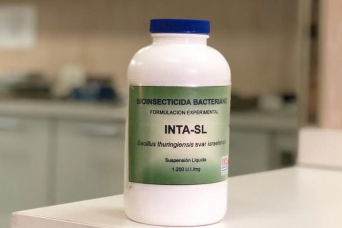 El INTA generó un biolarvicida para hacer frente al dengue