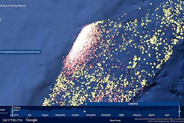 En plena cuarentena, el mar argentino se llena de buques pesqueros ilegales