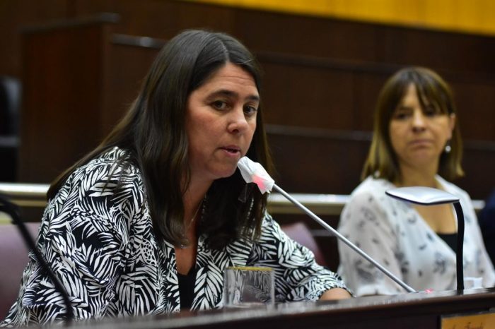 Repudian manifestaciones del fiscal de Chubut Fernando Rivarola