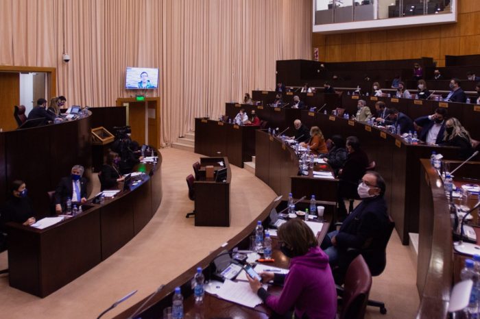 Por primera vez, la Legislatura neuquina sesionó de manera virtual y presencial