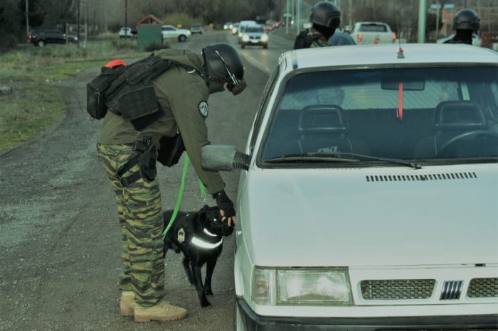 Personal de la Dirección Antinarcóticos de la Policía del Neuquén realizó un operativo de prevención en la zona lacustre que incluyó un can detector de narcóticos