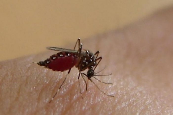 Santa Fe supera los 5000 casos confirmados de dengue