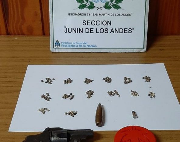 Demorados con 140 semillas de Cannabis Sativa y un arma de fuego