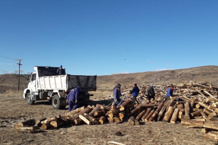 Continúa el operativo Leña en Los Miches 2020