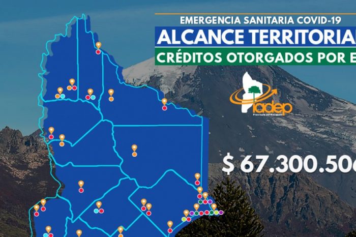 Asistencia crediticia del Iadep durante la emergencia sanitaria