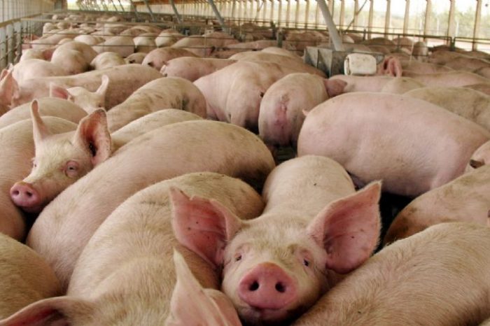 Científicos indican que en China hay un nuevo virus respiratorio