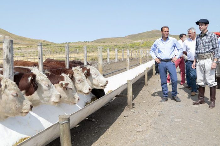 El gobierno de Neuquén prorrogó la emergencia agropecuaria por la sequía