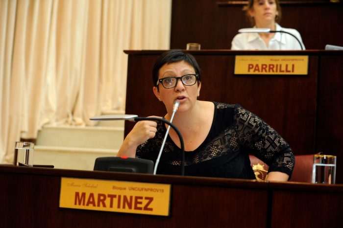 Proponen controlar los ATN que llegan a Neuquén