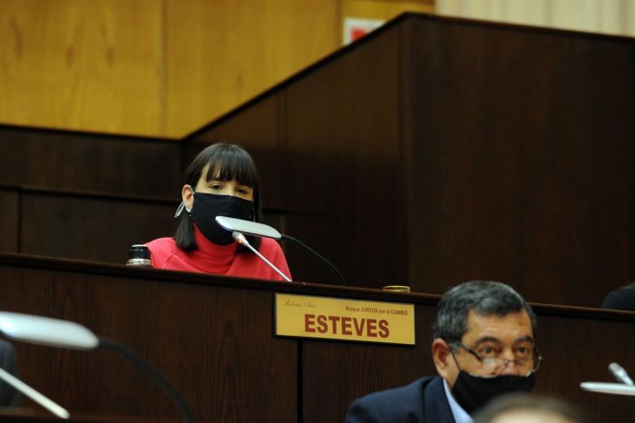 Proponen seis meses ininterrumpidos de clases una vez que se retome el ciclo lectivo 2020