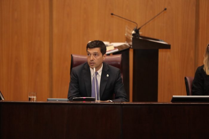 Koopmann pidió autorización para el uso de videoconferencia durante sesiones legislativas