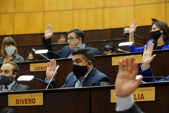 Proponen la suspensión por un año de subastas en Salud