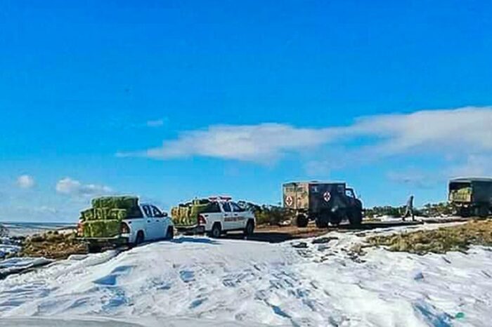 Piedra del Águila: municipio, Provincia y Ejército llegan a las zonas rurales