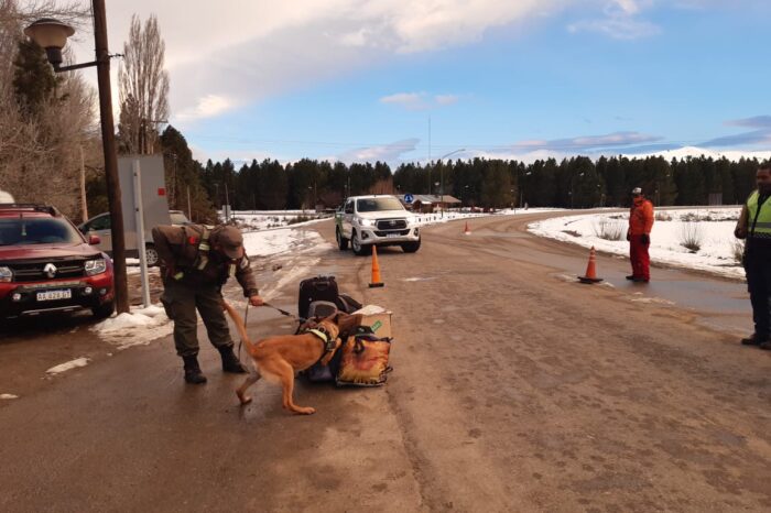Gendarmería Nacional incautó semillas y marihuana en control rutinario