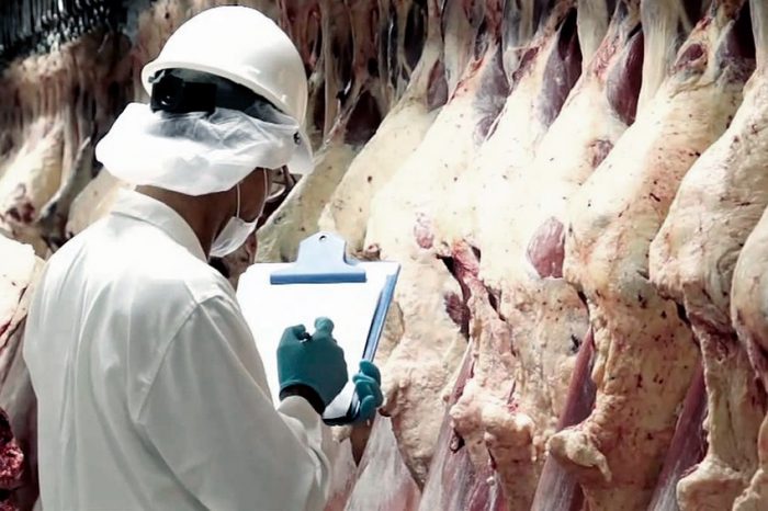 Crecieron las exportaciones de carne, frutas y hortalizas en el primer semestre