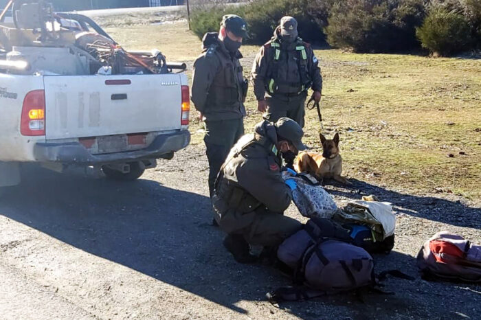 Demorados con flores y porros de Marihuana en dos procedimientos casi en simultáneos