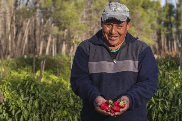 La demanda de financiamiento muestra el buen nivel de actividad agropecuaria