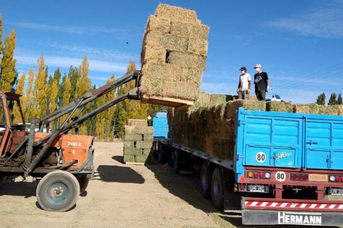 El gobierno acompaña la producción de los crianceros neuquinos