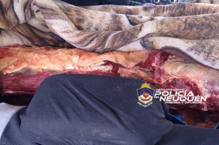 Decomisan 100 kg. de carne vacuna que intentaban ingresar por Balsa Las Perlas