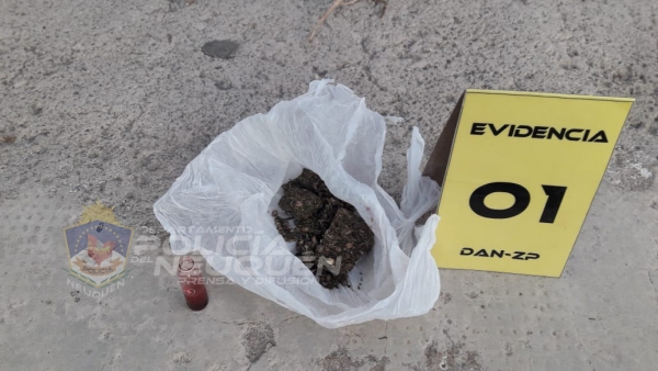 Zapala: demoran a joven con estupefacientes en su poder
