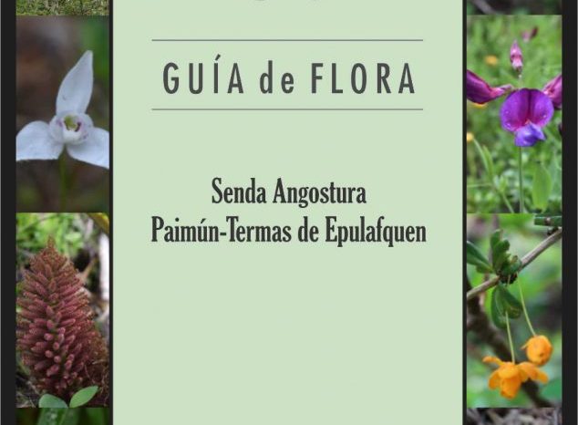 El Parque Nacional Lanín presenta la Guía Fotográfica de la Senda Angostura Paimún-Termas de Epulafquen