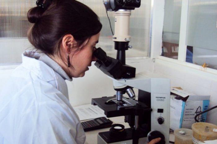 Dieron de alta a dos personas con Covid-19 que fueron tratadas con plasma de pacientes recuperados