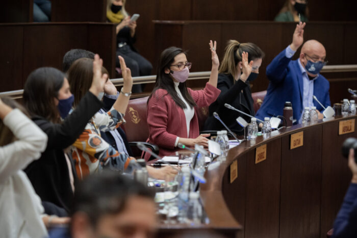 Diputados repudian “accionar intimidatorio” por parte de ATEN contra la ministra Storioni