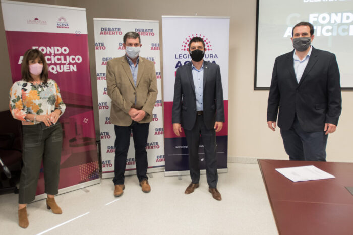 Con nuevas disertaciones sigue el debate para crear un fondo anticíclico neuquino