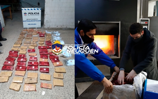 Incineran mas de 90 kilos de Marihuana (Cannabis Sativa) y plantas incautadas en distintos procedimientos