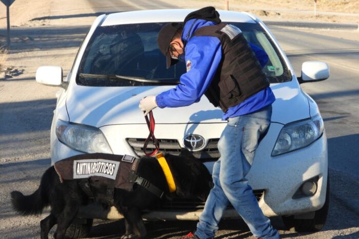 Operativos preventivos de la Dirección Antinarcóticos de la Policía del Neuquén