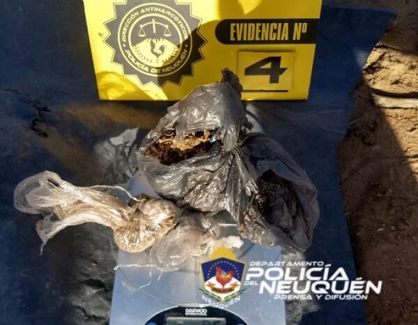 Plaza Huincul: Secuestran estupefacientes en allanamiento