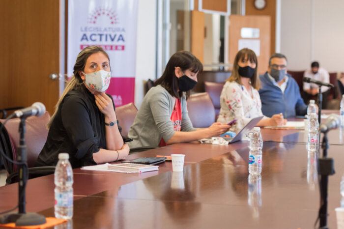 Pasa al recinto la creación del Comité de prevención de incendios y el proyecto que establece un rótulo en productos próximos a vencer
