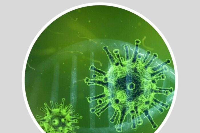 Gran convocatoria para el Encuentro de Enseñanza de la Biología en contexto de Pandemia