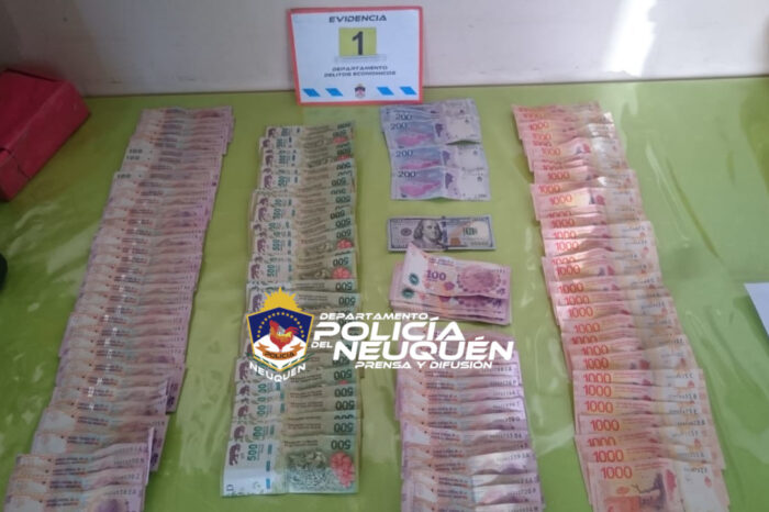 Allanamientos relacionados en distintas causas por estafas vehiculares