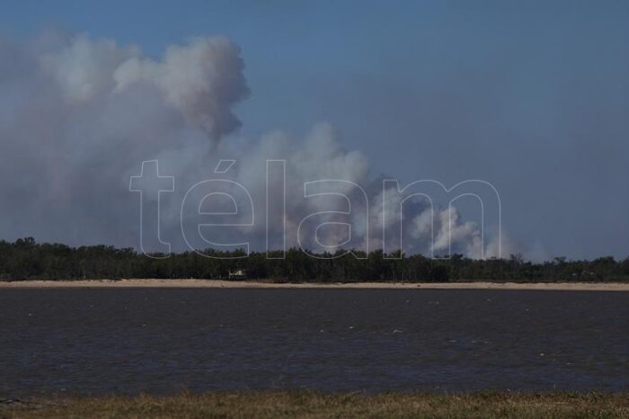 Ambientalistas exigieron la aprobación de una Ley de Humedales y el cese de quemas en las islas