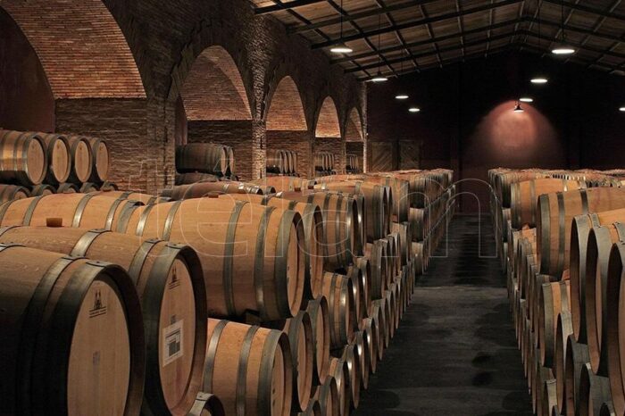 El INV y el INTI desarrollan una certificación para exportaciones del sector vitivinícola