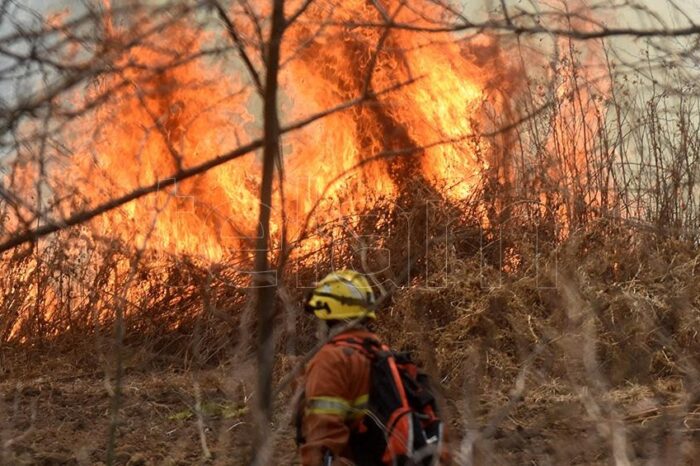 Más de 400 bomberos trabajan en sofocar varios incendios activos