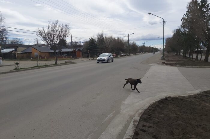 Alerta por períodos de viento fuerte en la Provincia del Neuquén