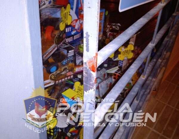 Joven provocó daños en un comercio y fue demorado