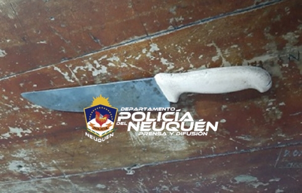 Dos demorados tras intentar cometer un robar y amenazar con un cuchillo