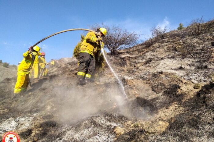 Incendio forestal en el Loteo Sepúlveda