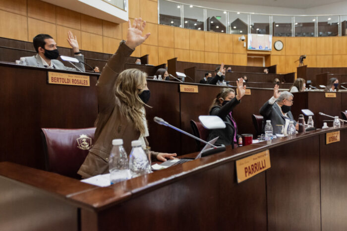 Interés por las modificaciones del Senado al Régimen de Promoción de la Economía del Conocimiento