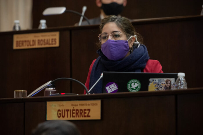 Repudian desalojo violento de manifestantes que se expresaron contra la central de Nahueve