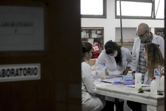 Los creadores del test que detecta Covid en cinco minutos: "Ejemplo de soberanía nacional"
