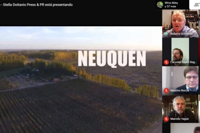 La provincia de Neuquén participará en la Expo Vinos de la Patagonia