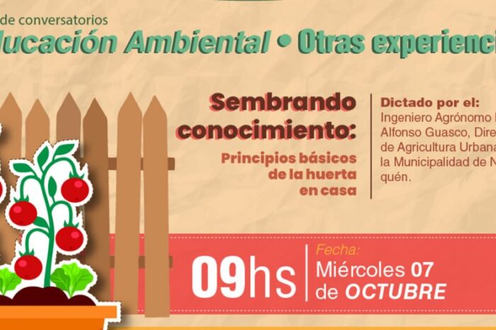 “Principios básicos de la huerta en casa” es el tema del segundo conversatorio del ciclo “Otras experiencias”