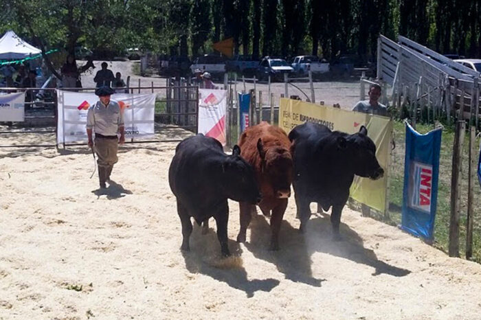Se abre el período para solicitar créditos para la  adquisición de reproductores