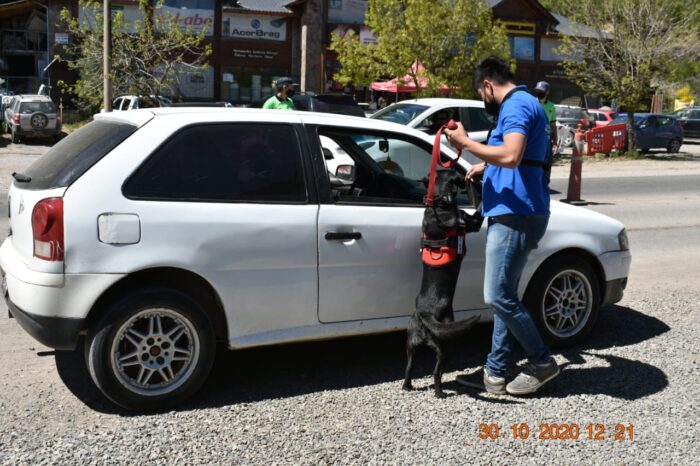 Personal de la D.A. de la Policía del Neuquén procedió al secuestro de Marihuana