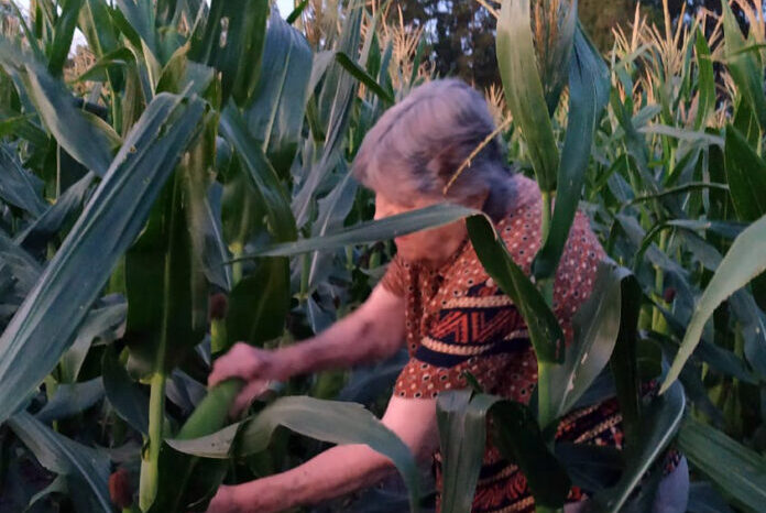 Agricultura destinará $600 millones para proyectos de mujeres rurales