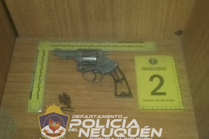 Secuestran armas de fuego en un allanamiento